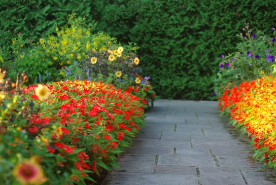 A stone path with garden beds on each side. 